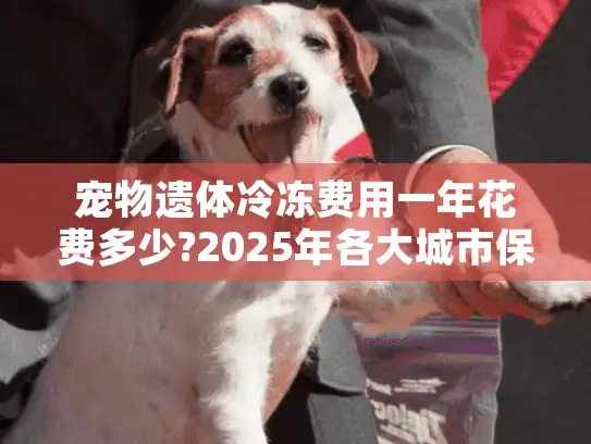 宠物遗体冷冻费用一年花费多少?2025年各大城市保存价格表对比