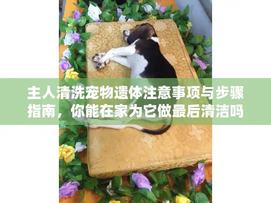 主人清洗宠物遗体注意事项与步骤指南，你能在家为它做最后清洁吗？