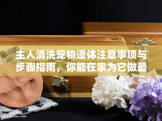 主人清洗宠物遗体注意事项与步骤指南，你能在家为它做最后清洁吗？