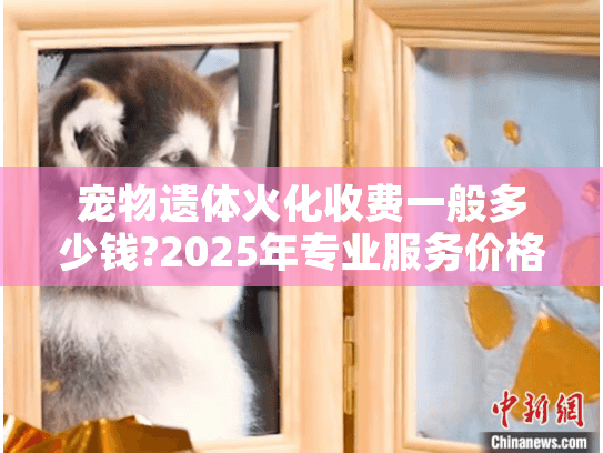 宠物遗体火化收费一般多少钱?2025年专业服务价格全解析 宠物遗体火化收费一般多少钱?2025年专业服务价格全解析