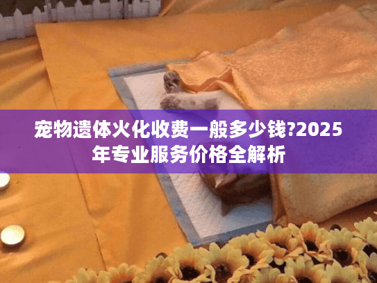 宠物遗体火化收费一般多少钱?2025年专业服务价格全解析 宠物遗体火化收费一般多少钱?2025年专业服务价格全解析