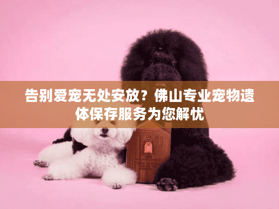 告别爱宠无处安放？佛山专业宠物遗体保存服务为您解忧