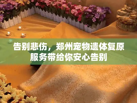 告别悲伤，郑州宠物遗体复原服务带给你安心告别