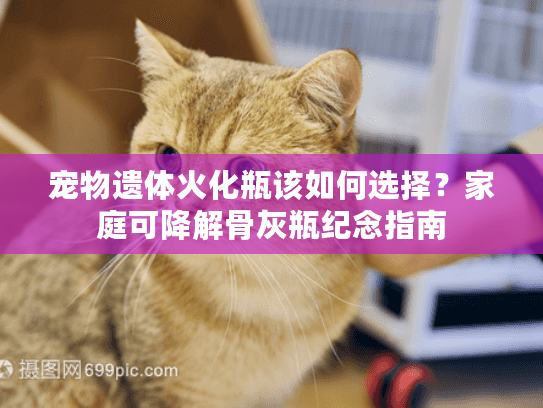 宠物遗体火化瓶该如何选择？家庭可降解骨灰瓶纪念指南