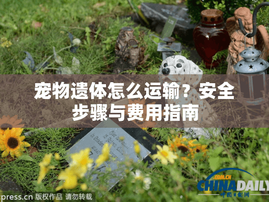 宠物遗体怎么运输?安全步骤与费用指南 宠物遗体怎么运输?安全步骤与费用指南