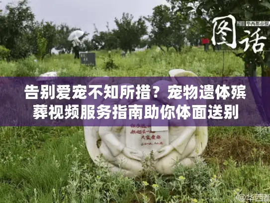 告别爱宠不知所措？宠物遗体殡葬视频服务指南助你体面送别