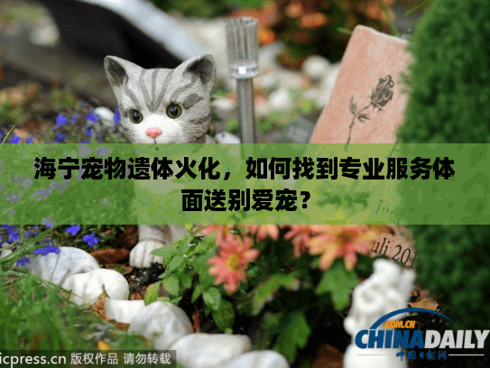 海宁宠物遗体火化,如何找到专业服务体面送别爱宠? 海宁宠物遗体火化,如何找到专业服务体面送别爱宠?