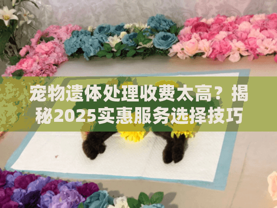 宠物遗体处理收费太高？揭秘2025实惠服务选择技巧