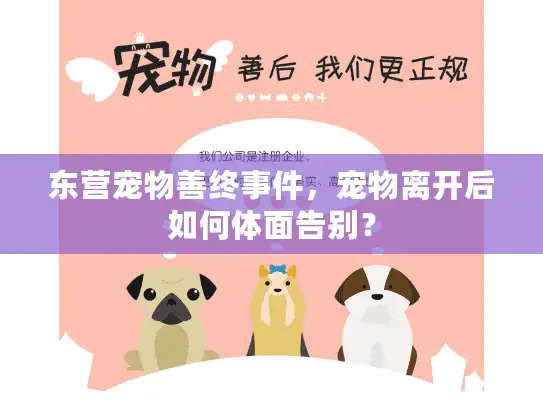 东营宠物善终事件,宠物离开后如何体面告别? 东营宠物善终事件,宠物离开后如何体面告别?
