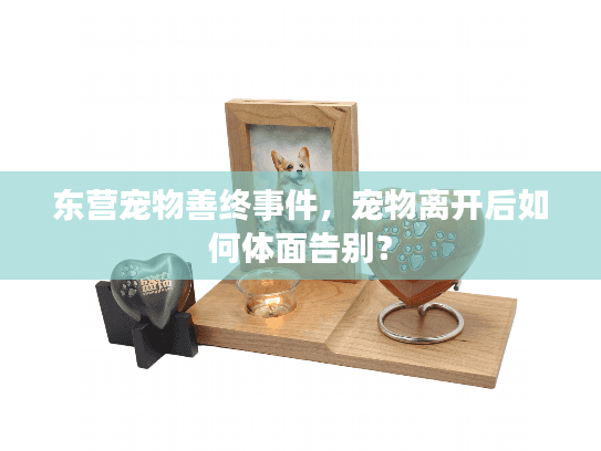 东营宠物善终事件,宠物离开后如何体面告别? 东营宠物善终事件,宠物离开后如何体面告别?