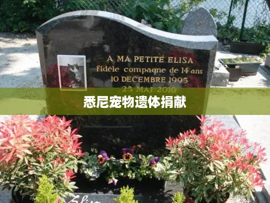 悉尼宠物遗体捐献