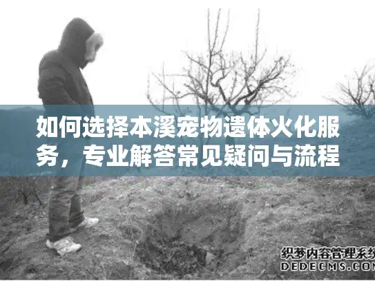 如何选择本溪宠物遗体火化服务，专业解答常见疑问与流程