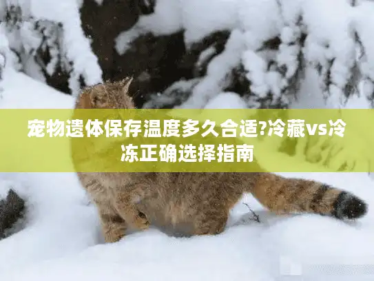 宠物遗体保存温度多久合适?冷藏vs冷冻正确选择指南 宠物遗体保存温度多久合适?冷藏vs冷冻正确选择指南