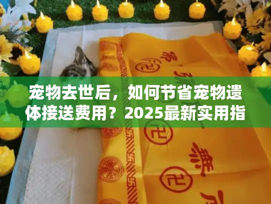 宠物去世后，如何节省宠物遗体接送费用？2025最新实用指南