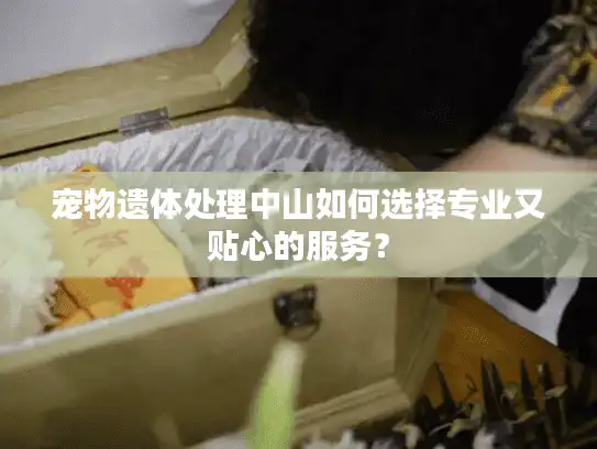 宠物遗体处理中山如何选择专业又贴心的服务？