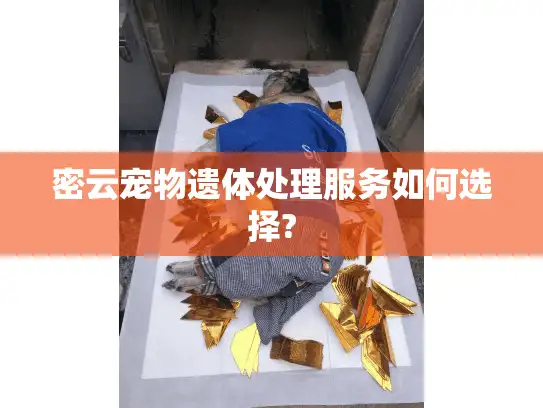 密云宠物遗体处理服务如何选择? 密云宠物遗体处理服务如何选择?