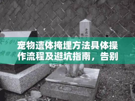 宠物遗体掩埋方法具体操作流程及避坑指南，告别误区和遗憾！
