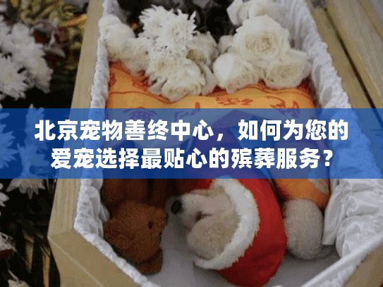 北京宠物善终中心，如何为您的爱宠选择最贴心的殡葬服务？