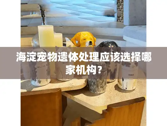 海淀宠物遗体处理应该选择哪家机构？