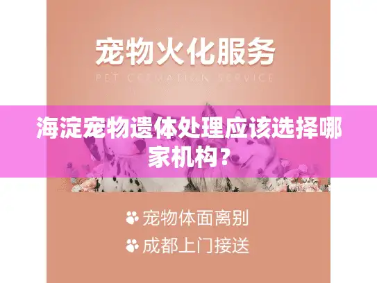 海淀宠物遗体处理应该选择哪家机构？