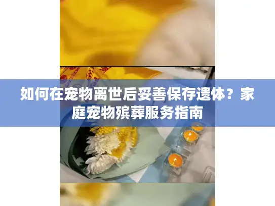 如何在宠物离世后妥善保存遗体？家庭宠物殡葬服务指南