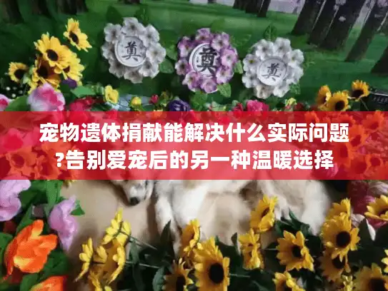 宠物遗体捐献能解决什么实际问题?告别爱宠后的另一种温暖选择