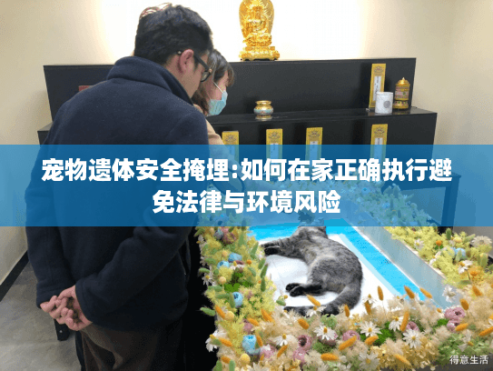 宠物遗体安全掩埋:如何在家正确执行避免法律与环境风险 宠物遗体安全掩埋:如何在家正确执行避免法律与环境风险