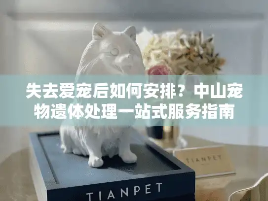 失去爱宠后如何安排?中山宠物遗体处理一站式服务指南 失去爱宠后如何安排?中山宠物遗体处理一站式服务指南