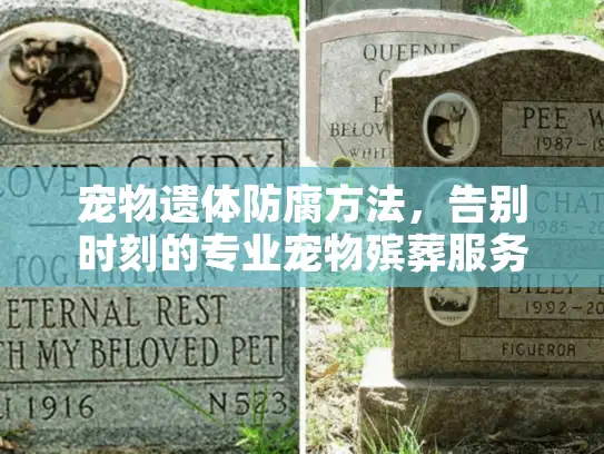 宠物遗体防腐方法，告别时刻的专业宠物殡葬服务选择