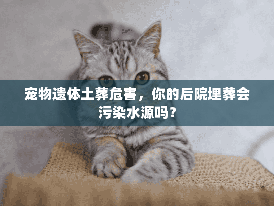 宠物遗体土葬危害，你的后院埋葬会污染水源吗？