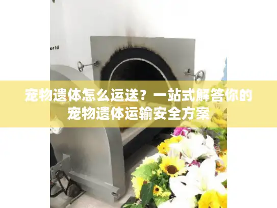 宠物遗体怎么运送?一站式解答你的宠物遗体运输安全方案 宠物遗体怎么运送?一站式解答你的宠物遗体运输安全方案