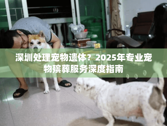 深圳处理宠物遗体？2025年专业宠物殡葬服务深度指南