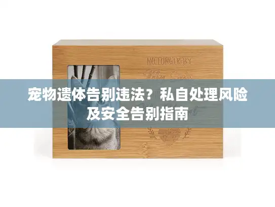 宠物遗体告别违法？私自处理风险及安全告别指南