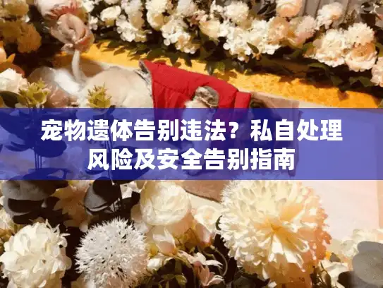 宠物遗体告别违法？私自处理风险及安全告别指南