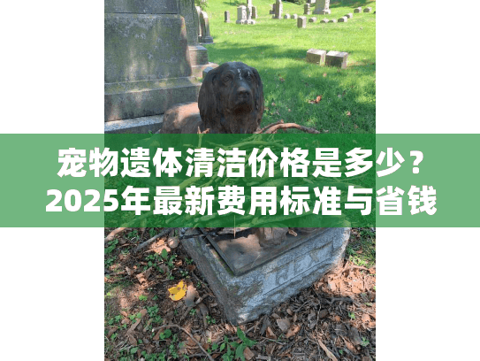 宠物遗体清洁价格是多少?2025年最新费用标准与省钱技巧全解析 宠物遗体清洁价格是多少?2025年最新费用标准与省钱技巧全解析