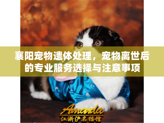 襄阳宠物遗体处理,宠物离世后的专业服务选择与注意事项 襄阳宠物遗体处理,宠物离世后的专业服务选择与注意事项