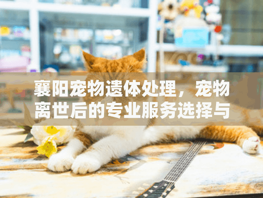 襄阳宠物遗体处理,宠物离世后的专业服务选择与注意事项 襄阳宠物遗体处理,宠物离世后的专业服务选择与注意事项