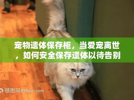 宠物遗体保存柜,当爱宠离世,如何安全保存遗体以待告别? 宠物遗体保存柜,当爱宠离世,如何安全保存遗体以待告别?