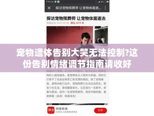 宠物遗体告别大哭无法控制?这份告别情绪调节指南请收好