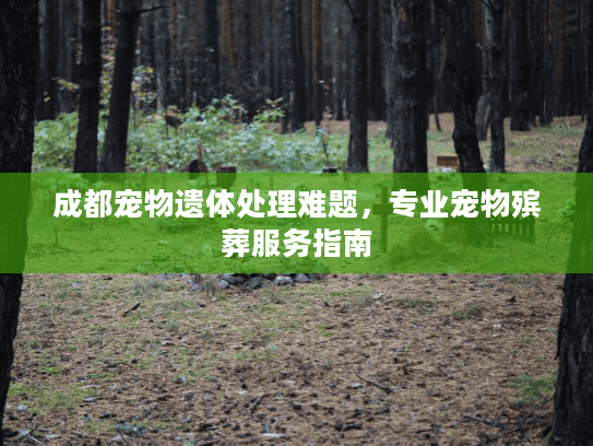 成都宠物遗体处理难题，专业宠物殡葬服务指南