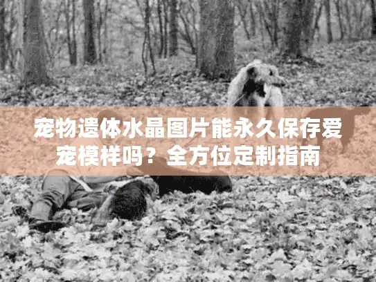 宠物遗体水晶图片能永久保存爱宠模样吗?全方位定制指南 宠物遗体水晶图片能永久保存爱宠模样吗?全方位定制指南