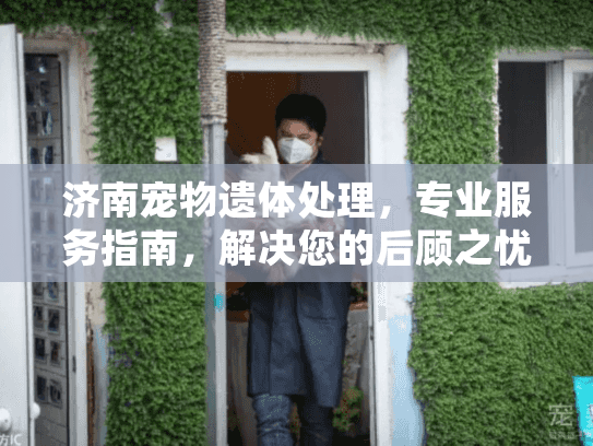 济南宠物遗体处理，专业服务指南，解决您的后顾之忧