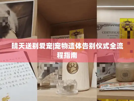 晴天送别爱宠|宠物遗体告别仪式全流程指南 晴天送别爱宠|宠物遗体告别仪式全流程指南