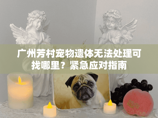 广州芳村宠物遗体无法处理可找哪里?紧急应对指南 广州芳村宠物遗体无法处理可找哪里?紧急应对指南
