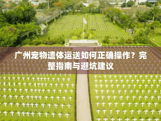 广州宠物遗体运送如何正确操作？完整指南与避坑建议