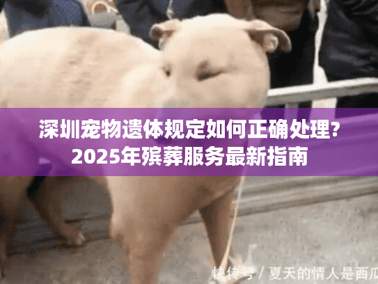 深圳宠物遗体规定如何正确处理?2025年殡葬服务最新指南