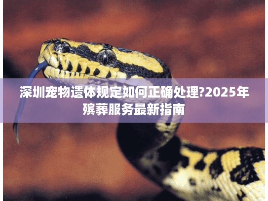 深圳宠物遗体规定如何正确处理?2025年殡葬服务最新指南