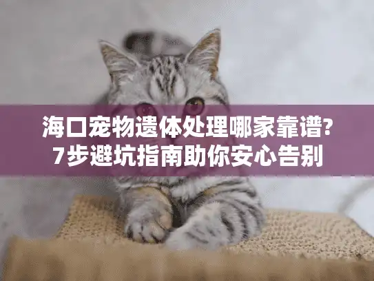 海口宠物遗体处理哪家靠谱?7步避坑指南助你安心告别