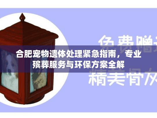 合肥宠物遗体处理紧急指南，专业殡葬服务与环保方案全解