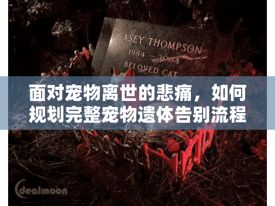 面对宠物离世的悲痛，如何规划完整宠物遗体告别流程？